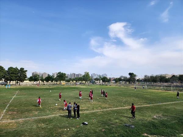 چمن طبیعی نامجو 2 - رزرو تلفنی