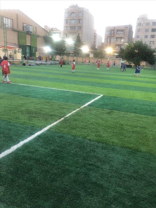چمن مصنوعی پیشگامان شماره 2 (20*40)