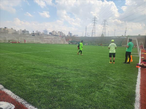 چمن مصنوعی شاهد غربی)